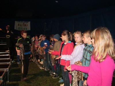 Foto des Albums: Zirkusprojekt 2014