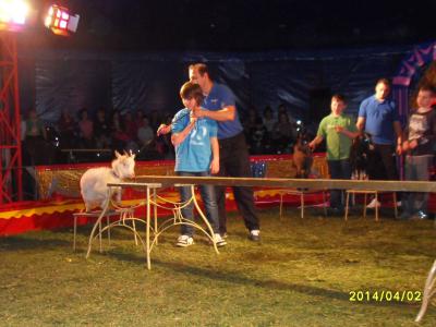 Foto des Albums: Zirkus Generalprobe