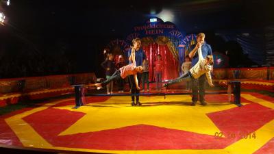 Foto des Albums: Zirkus