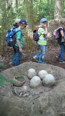 Foto des Albums: Kleinwelka Kindertag