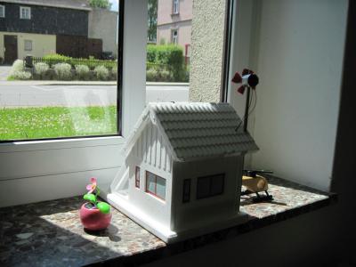 Foto des Albums: Sg, Projekt Alternative Energien