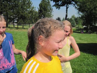 Foto des Albums: Sportfest