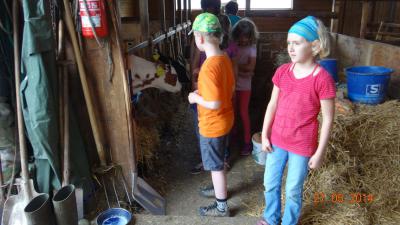 Foto des Albums: Bauernhof