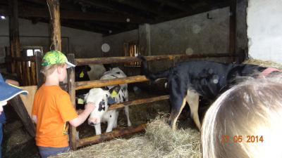 Foto des Albums: Bauernhof
