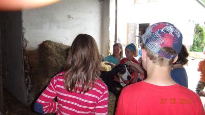 Foto des Albums: Bauernhof