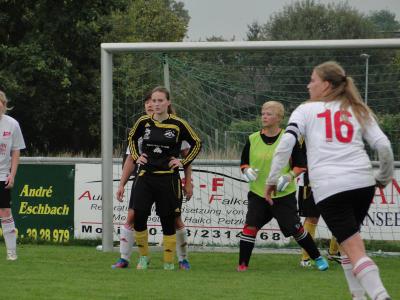 Foto des Albums: Falkenthal-HSV