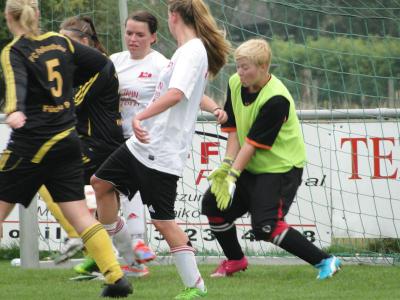 Foto des Albums: Falkenthal-HSV