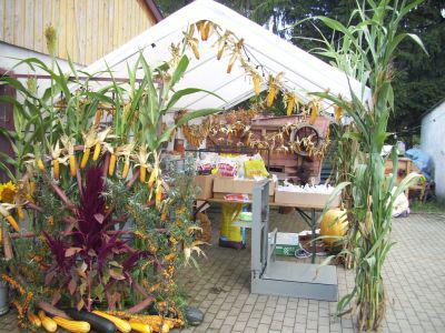 Foto des Albums: Erntedankfest mit den Oldtimer- & Schlepperfreunden am 27. September 2014 in Koßdorf