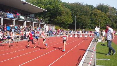 Foto des Albums: Fest der 1000 Zwerge in Hamburg, 28.09.2014