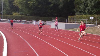 Foto des Albums: Fest der 1000 Zwerge in Hamburg, 28.09.2014