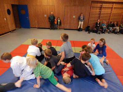 Foto des Albums: Judo-Schnuppertag ein voller Erfolg