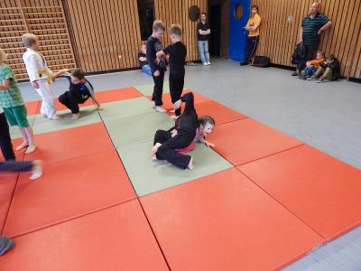Foto des Albums: Judo-Schnuppertag ein voller Erfolg