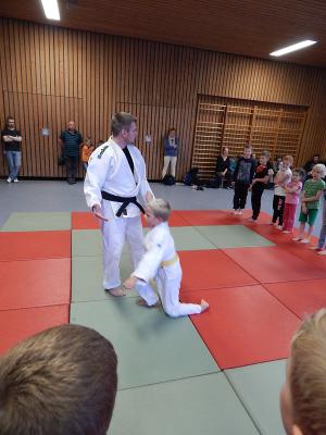 Foto des Albums: Judo-Schnuppertag ein voller Erfolg