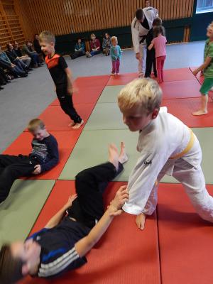 Foto des Albums: Judo-Schnuppertag ein voller Erfolg