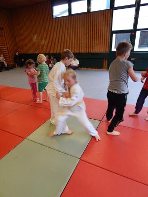 Foto des Albums: Judo-Schnuppertag ein voller Erfolg