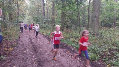 Foto des Albums: Ueckermünder Herbstcross, 03.10.2014