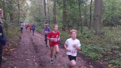 Foto des Albums: Ueckermünder Herbstcross, 03.10.2014