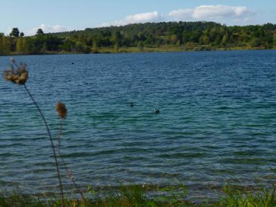 Foto des Albums: Fischereifest am Froser See