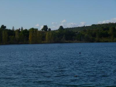 Foto des Albums: Fischereifest am Froser See