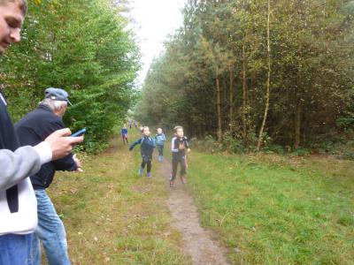 Foto des Albums: Herbstlauf 2014