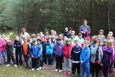 Foto des Albums: Herbstlauf 2014