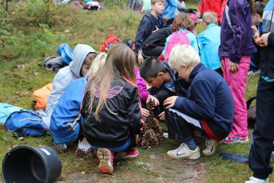 Foto des Albums: Herbstlauf 2014