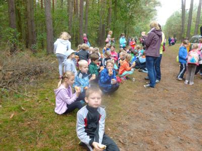 Foto des Albums: Herbstlauf 2014