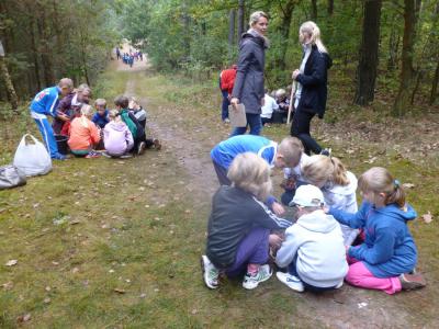 Foto des Albums: Herbstlauf 2014