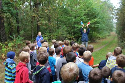 Foto des Albums: Herbstlauf 2014