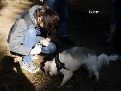 Foto des Albums: Doubice_2014