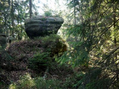Foto des Albums: Doubice_2014