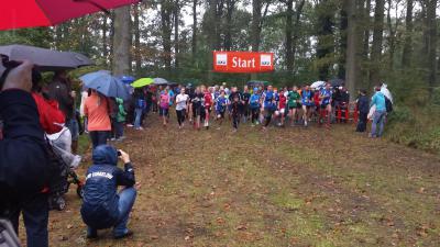 Foto des Albums: Torgelower Crosslauf, 11.10.2014