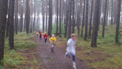 Foto des Albums: Torgelower Crosslauf, 11.10.2014