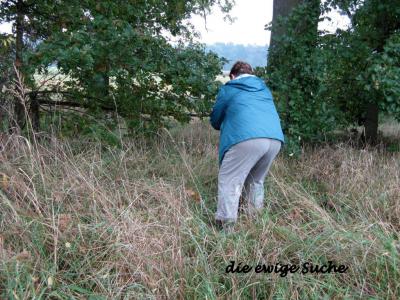 Foto des Albums: Bosseltour der Gymnastikfrauen
