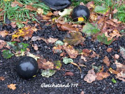 Foto des Albums: Bosseltour der Gymnastikfrauen