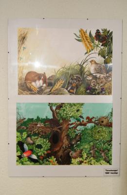 Foto des Albums: Die Tierwelt im Kinderbuch - Ausstellung und Aktionen (17.10.2014)