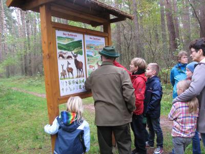 Foto des Albums: Waldwanderung - Auf den Spuren der Tiere (23. 10. 2014)