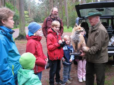 Foto des Albums: Waldwanderung - Auf den Spuren der Tiere (23. 10. 2014)