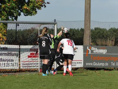 Foto des Albums: Mildenberg-HSV