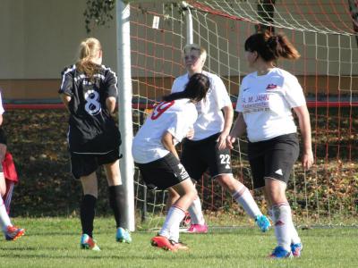 Foto des Albums: Mildenberg-HSV