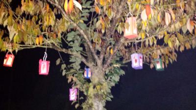 Foto des Albums: Lichterfest