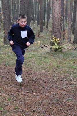 Foto des Albums: Herbstcross14