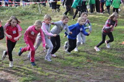 Foto des Albums: Herbstcross14