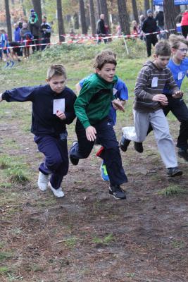 Foto des Albums: Herbstcross14