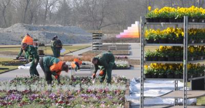 Vorschaubild: Pflanzarbeiten im Oprikpark Rathenow