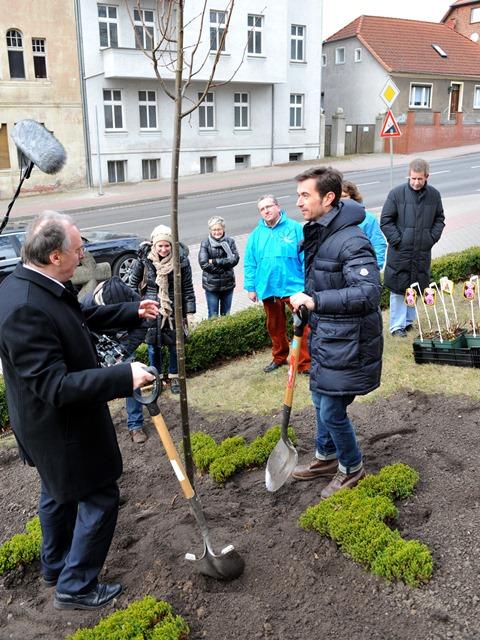 Bild : Florian Silbereisen pflanzt mit Ministerpräsident einen Baum