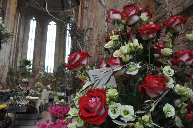 Bild : Blumenhallenschau in der St.Johanniskirche in Brandenburg