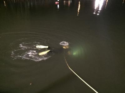 Foto des Albums: Einsatz 195/2014 - vermisste Person