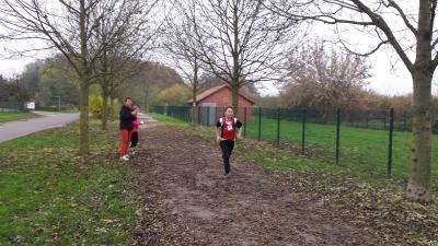 Foto des Albums: Cross-Kreismeisterschaften Prenzlau, 15.11.2014