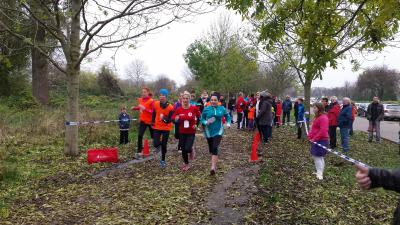 Foto des Albums: Cross-Kreismeisterschaften Prenzlau, 15.11.2014